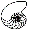 AURA CHAMBER CHOIR SOCIETY logo