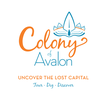 COLONY OF AVALON FOUNDATION INC logo
