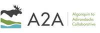 A2A Collaborative logo