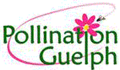 Pollination Guelph logo
