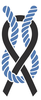 Douglas Wright Foundation logo