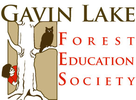 Gavin Lake Camp logo