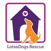 LotsaDogs Rescue logo