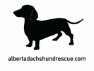 Alberta Dachshund Rescue logo