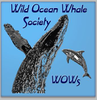 Wild Ocean Whale Society (WOWs) & Whales and Dolphins BC logo