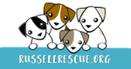 JACK RUSSELL TERRIER RESCUE ONTARIO logo