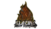 Blazing Faith Ministries Association logo