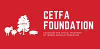 CETFA Foundation logo