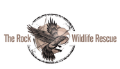 The Rock Wildlife Rescue logo