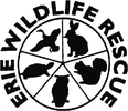 ERIE WILDLIFE RESCUE logo