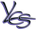 THE VICTORIA YOUTH EMPOWERMENT SOCIETY logo