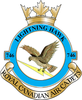 746 Lightning Hawk RCACS logo