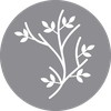 Valhalla Foundation for Ecology logo