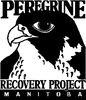 Manitoba Peregrine Falcon Project logo