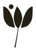 Transforming Education Society logo