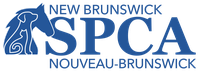 The New Brunswick SPCA logo