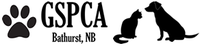 ANIMAL SHELTER (BATHURST) INC Gloucester SPCA logo