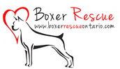 BOXER RESCUE ONTARIO logo