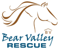 BEAR VALLEY RESCUE logo