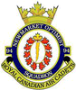 94 NEWMARKET SQUADRON - ROYAL CANADIAN AIR CADETS logo