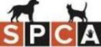 SPCA Lanaudière Basses-Laurentides logo