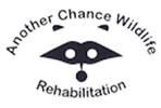 Another Chance Wildlife Rehabilitation logo
