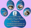 Pantry Four Paws logo