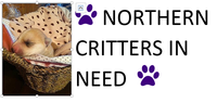 Northern Critters in Need (NCIN) logo