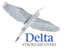 Société de récupération de l'AVC Delta logo