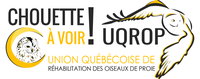 UNION QUEBECOISE DE REHABILITATION DES OISEAUX DE PROIE logo