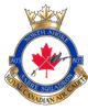 Escadron 803 Northshore sabre logo