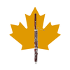 Conseil des Bassonistes Canadiens logo