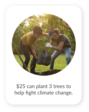 $25 can plant 3 trees to help fight climate change. $20,000 could plant 800 trees!