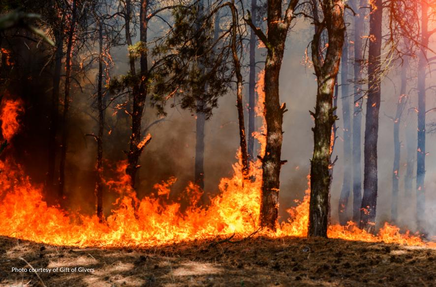 Support Alberta Wildfires Crisis Relief