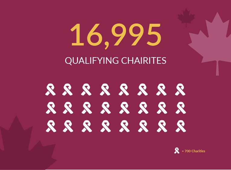 16995 qualifying charities