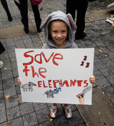 Save-the-Elephants