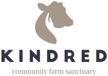 Charity logo