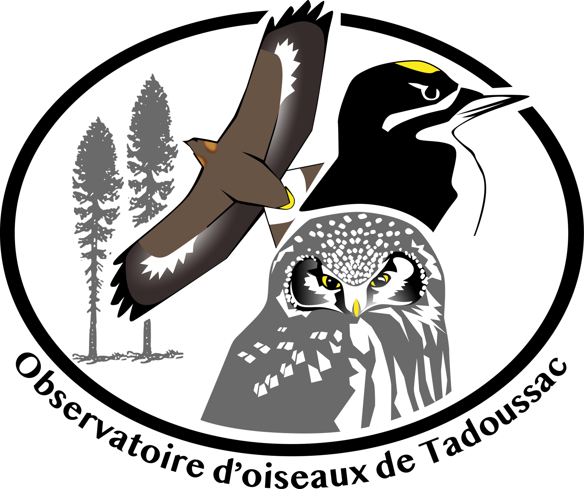 Charity logo