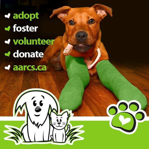 Alberta Animal Rescue Crew Society | Charity Profile | Donate Online |  Canadahelps