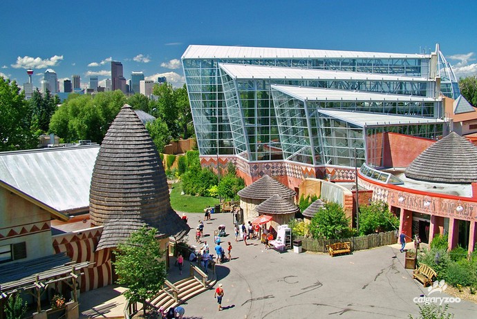 Calgary Zoo Our Impact Canadahelps