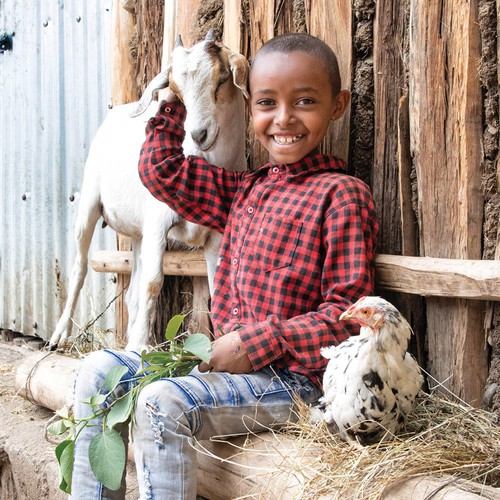 WORLD VISION CANADA | Give Goats, Hens and Roosters | $150 Campaign |  Canadahelps