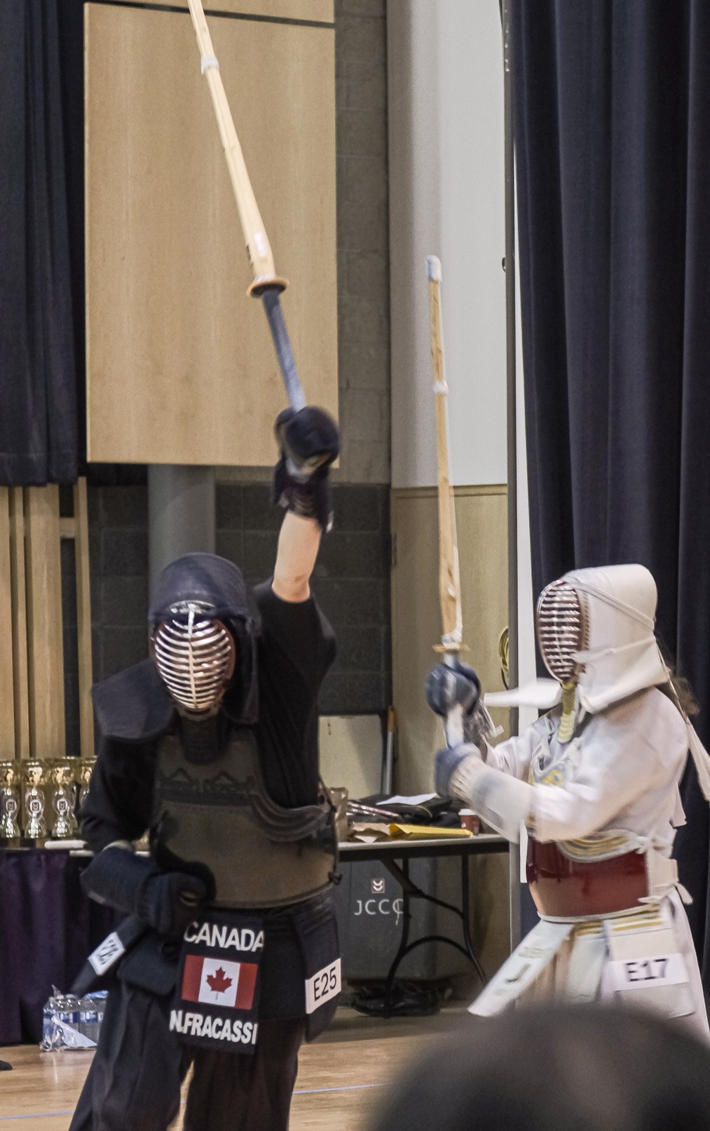 Kendo Team Canada 2024 Natasha Fracassi's Team Canada Donation Page